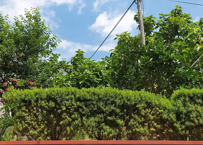 More 아파트 크리크베니카